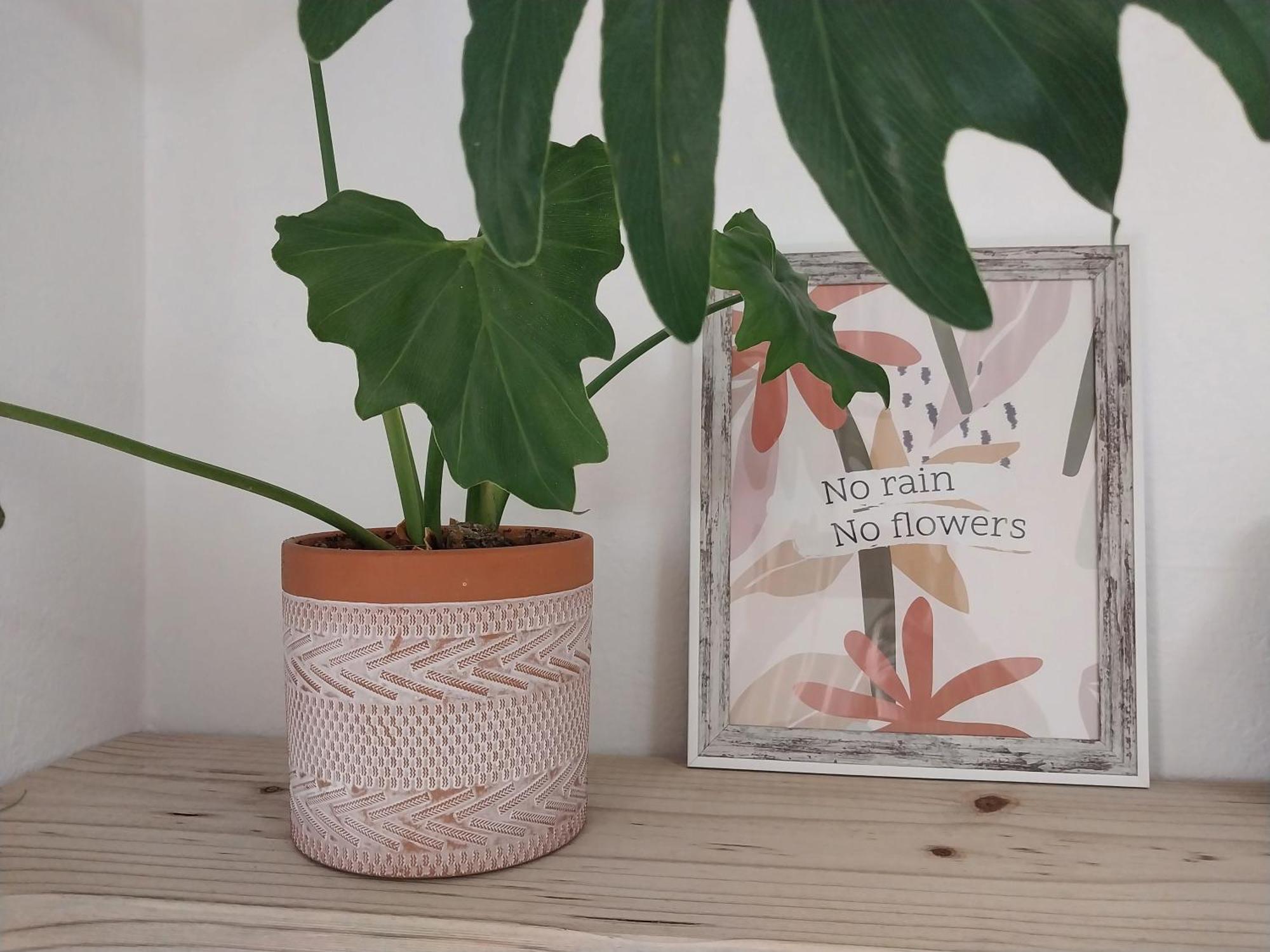 Mountain View - The Little Gem Διαμέρισμα Montagu Εξωτερικό φωτογραφία